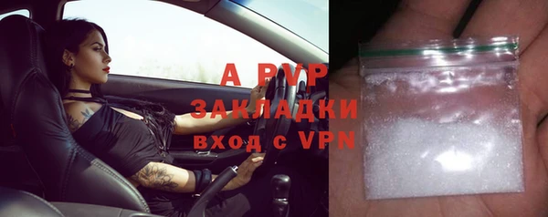 стаф Дмитров