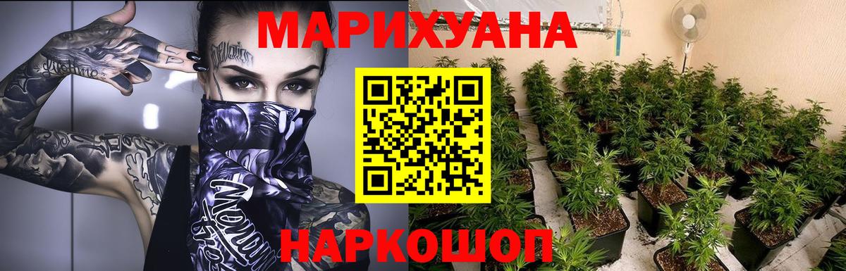 Каннабис сатива Кимры